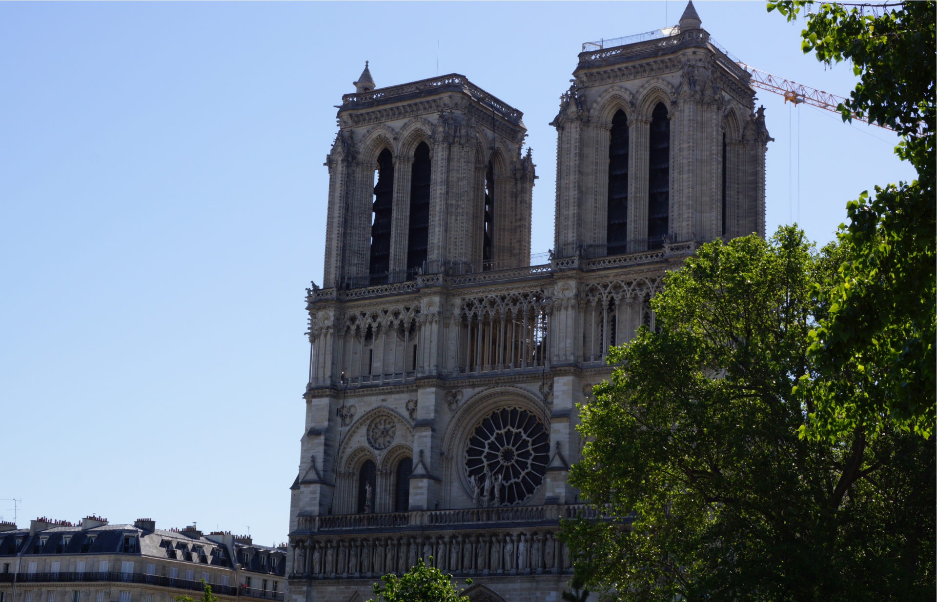 Visit heart of Paris - Notre Dame Delphine