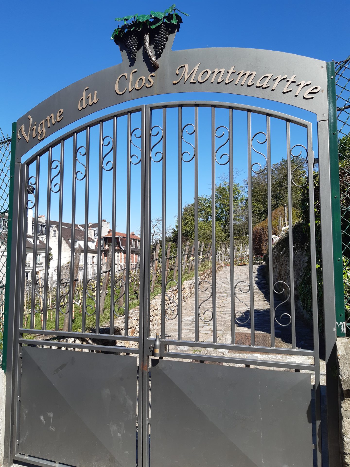 Visit Montmartre Vineyards and Guinguettes - Grapevines Entrance Eloise